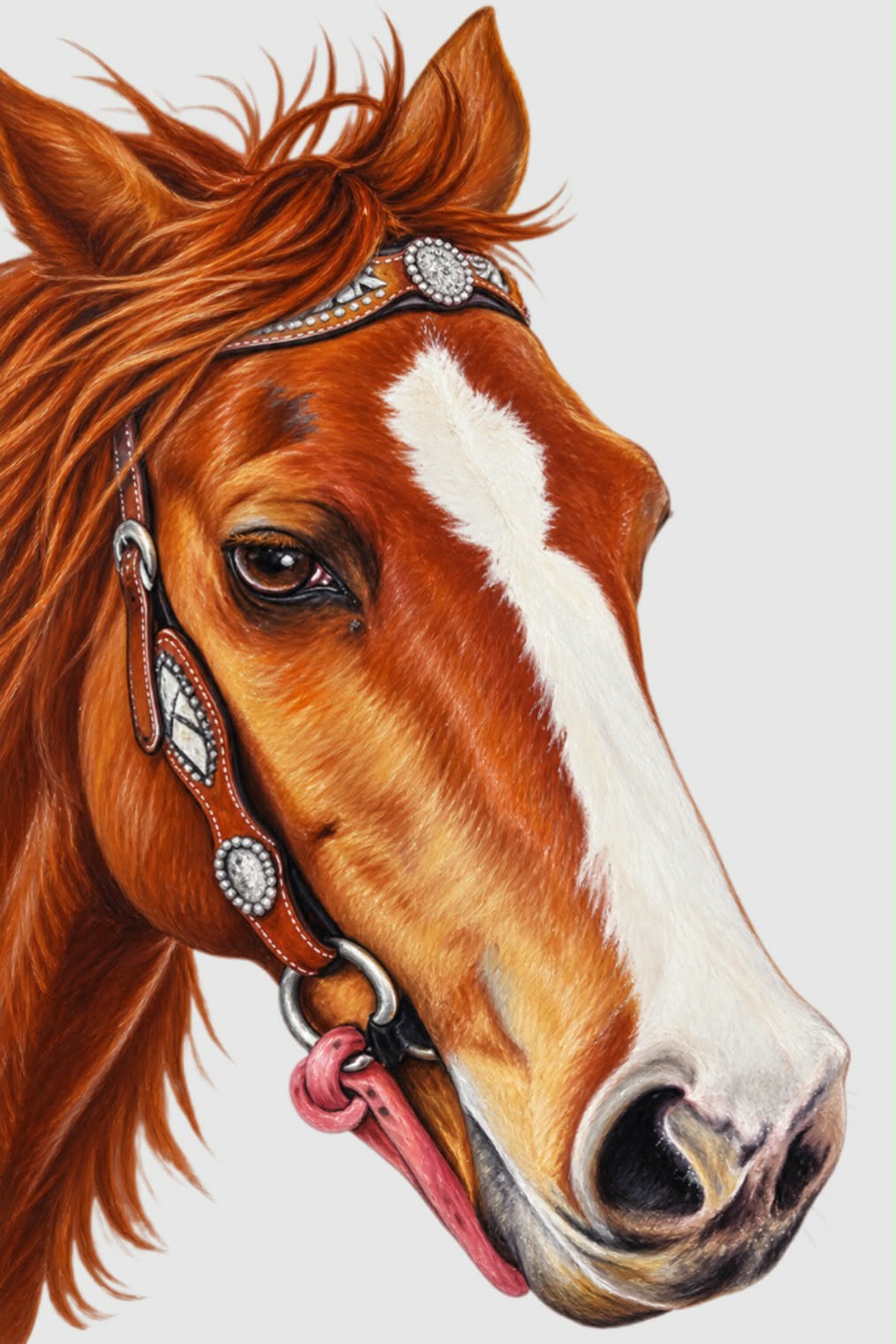 Paint your pet - Paint and sip kit